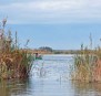 Découverte du Parc naturel de la Albufera à vélo